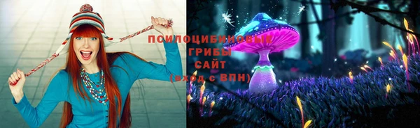 сатива Аркадак