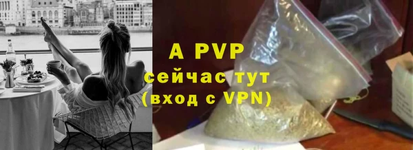 сатива Аркадак