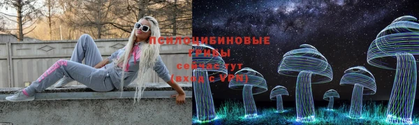 сатива Аркадак