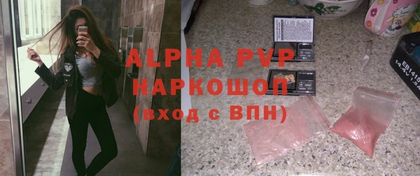 сатива Аркадак